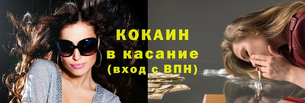 твердый Ельня