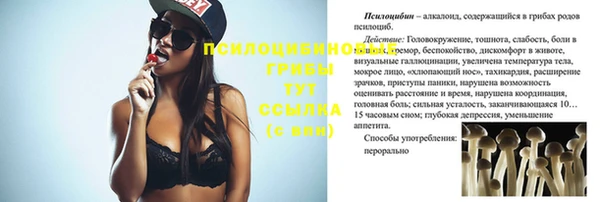 твердый Ельня