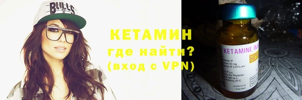 твердый Ельня