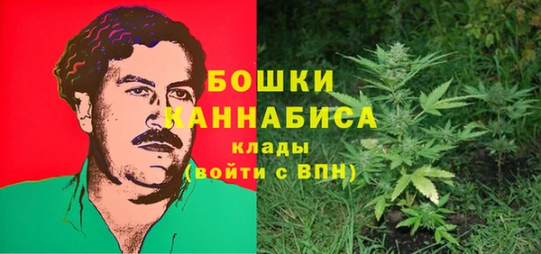 твердый Ельня
