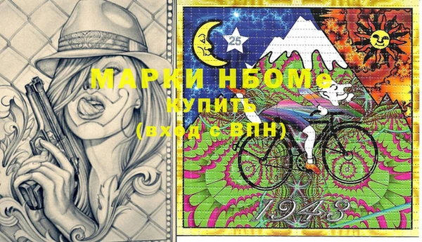 твердый Ельня