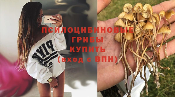 скорость mdpv Елабуга
