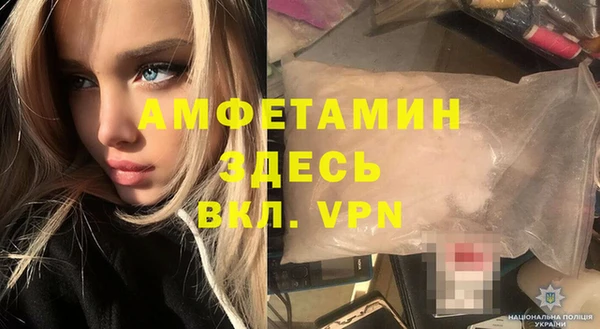 твердый Ельня