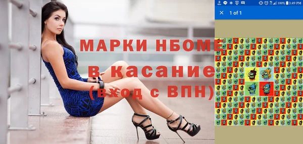 твердый Ельня