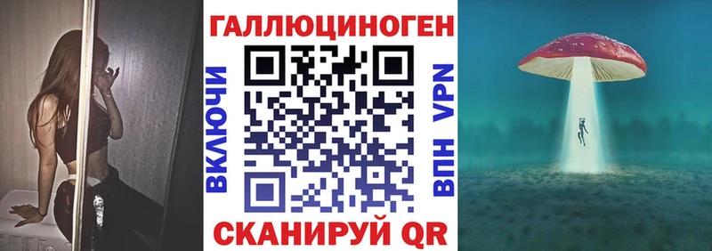 Купить где  Кизел  Галлюциногенные грибы Psilocybine cubensis 